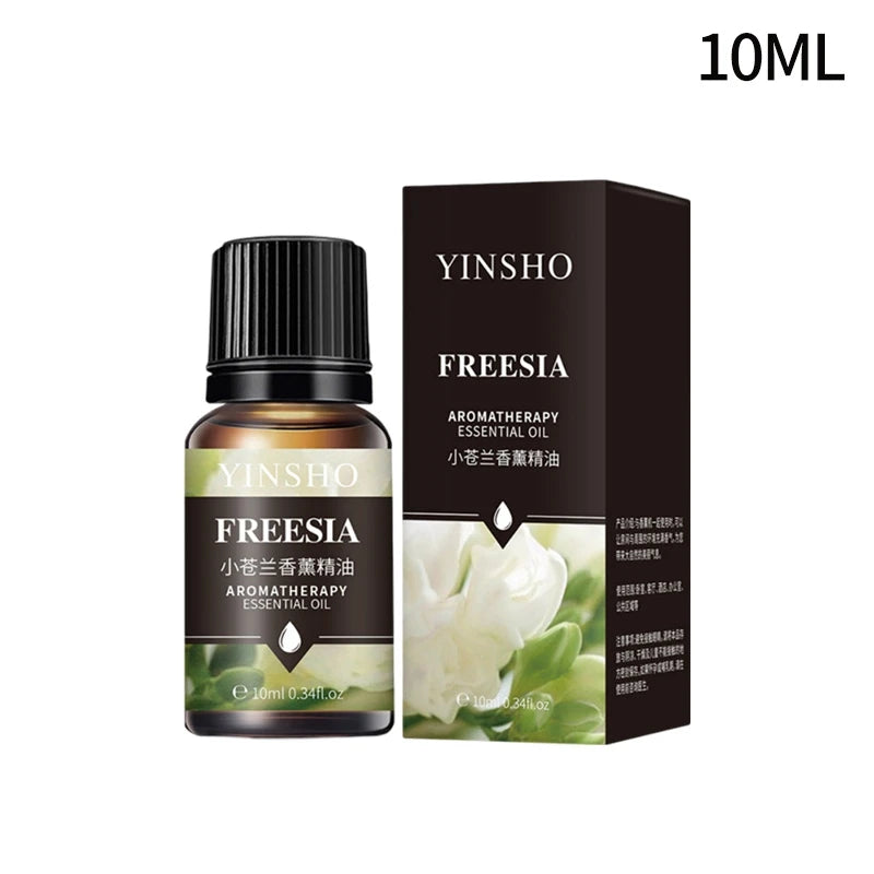 Huile essentielle d'aromathérapie à base de plantes