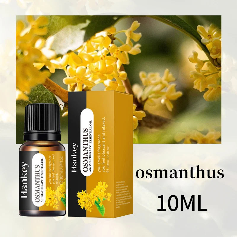Huile essentielle d'aromathérapie à base de plantes