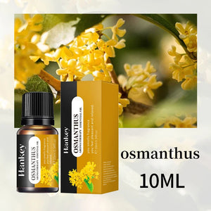 Huile essentielle d'aromathérapie à base de plantes