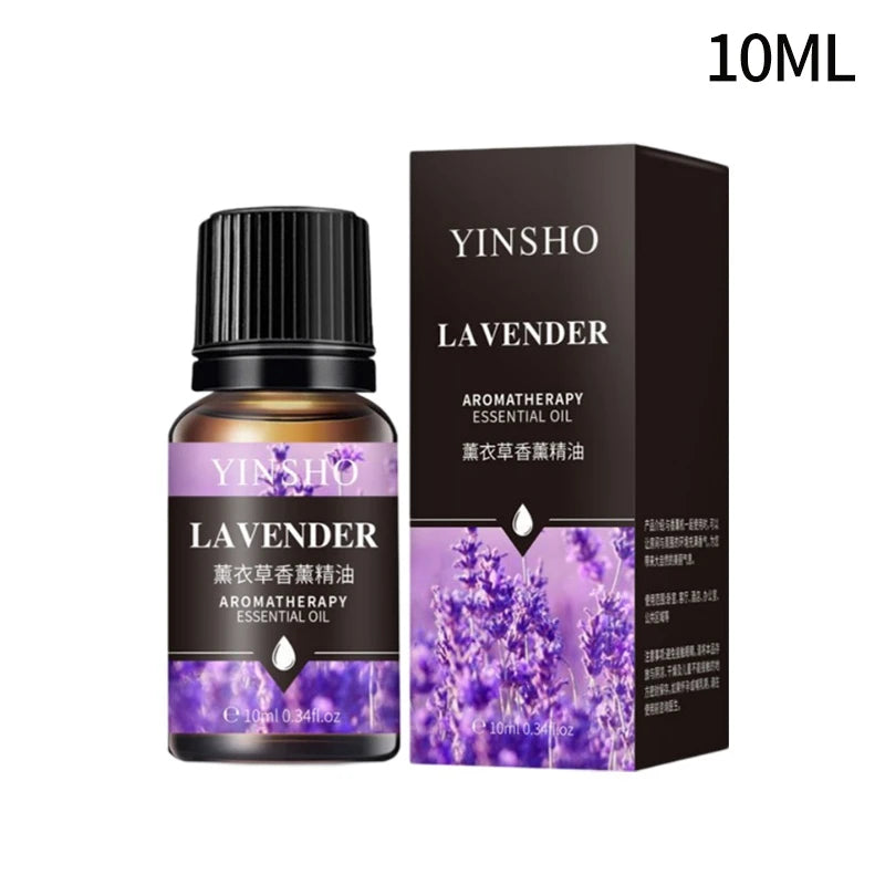 Huile essentielle d'aromathérapie à base de plantes