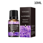 Huile essentielle d'aromathérapie à base de plantes