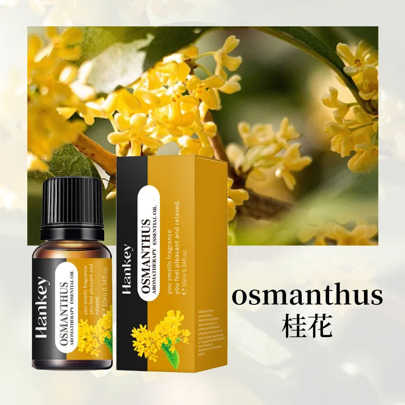 Aromathérapie à multiples arômes