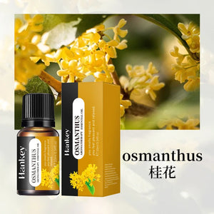 Aromathérapie à multiples arômes
