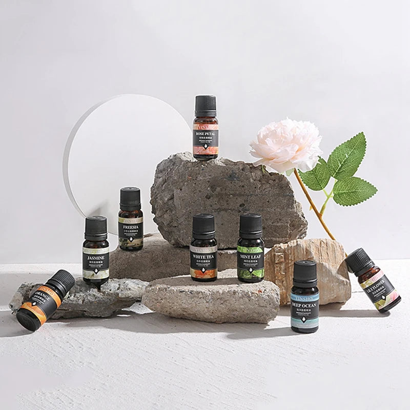 Huile essentielle d'aromathérapie à base de plantes