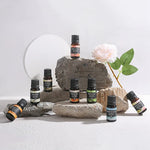 Huile essentielle d'aromathérapie à base de plantes