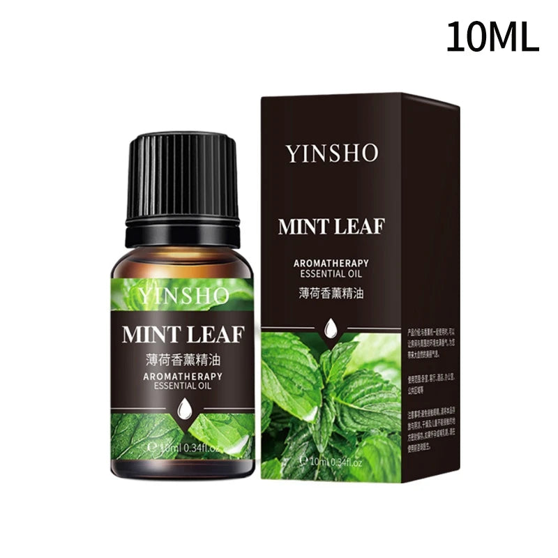 Huile essentielle d'aromathérapie à base de plantes