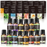 Huile essentielle d'aromathérapie à base de plantes