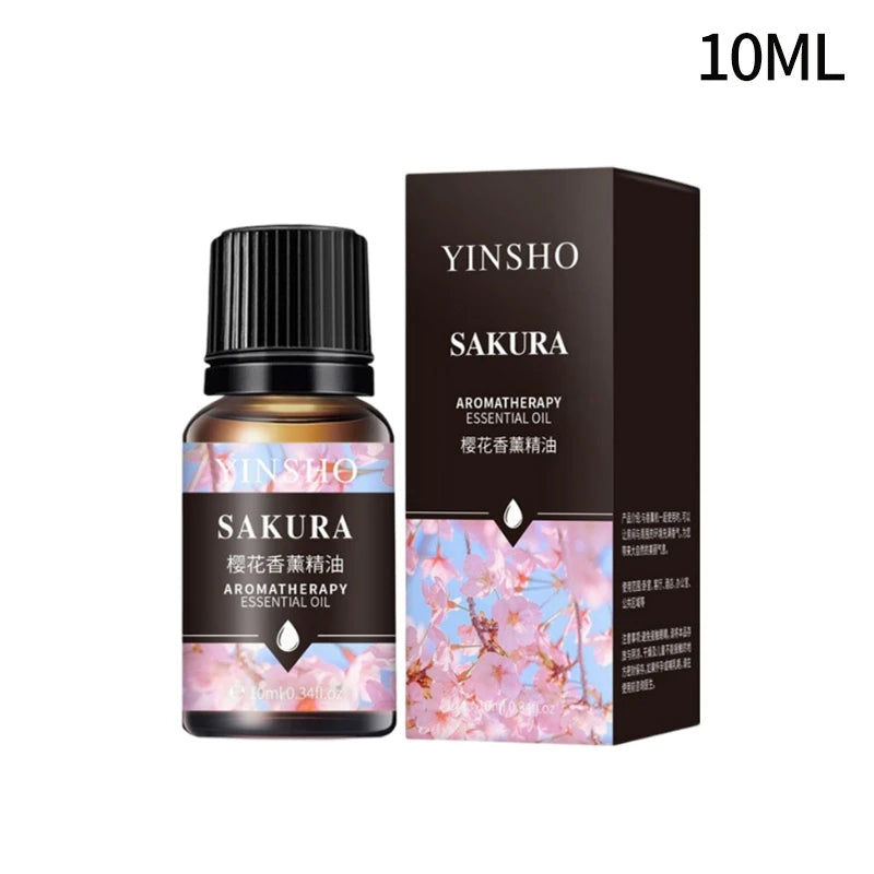 Huile essentielle d'aromathérapie à base de plantes