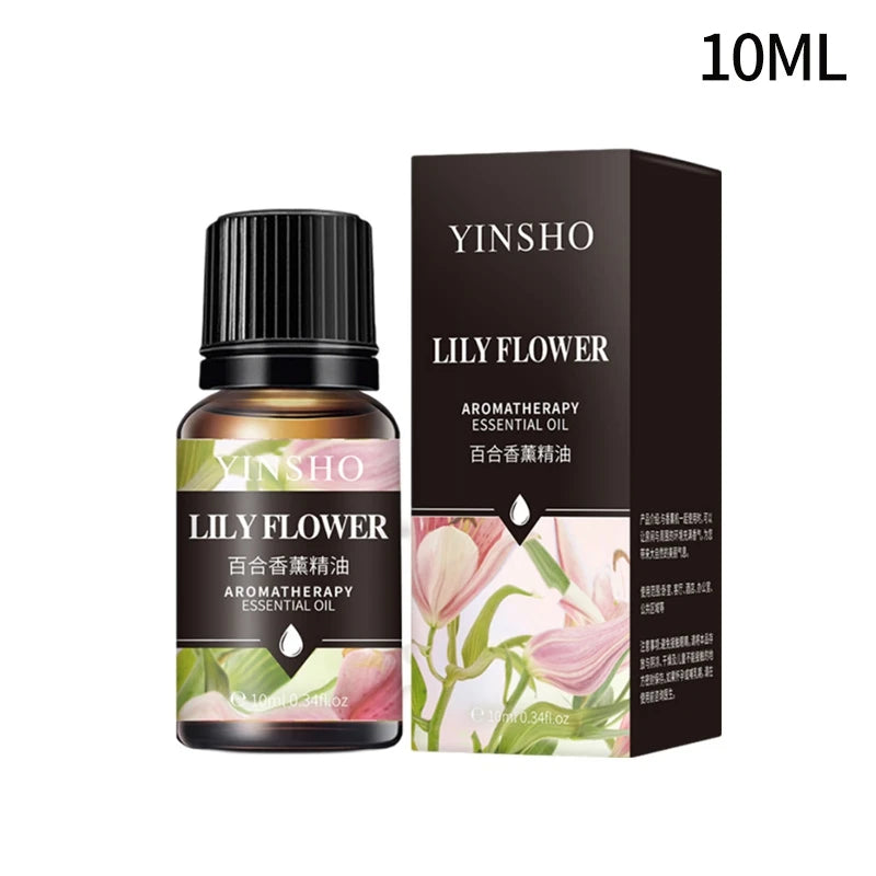 Huile essentielle d'aromathérapie à base de plantes