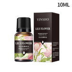 Huile essentielle d'aromathérapie à base de plantes