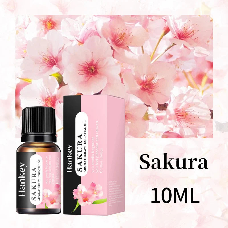 Huile essentielle d'aromathérapie à base de plantes