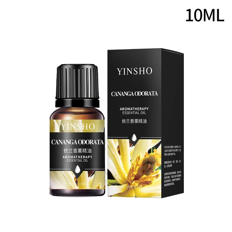 Huile essentielle d'aromathérapie à base de plantes