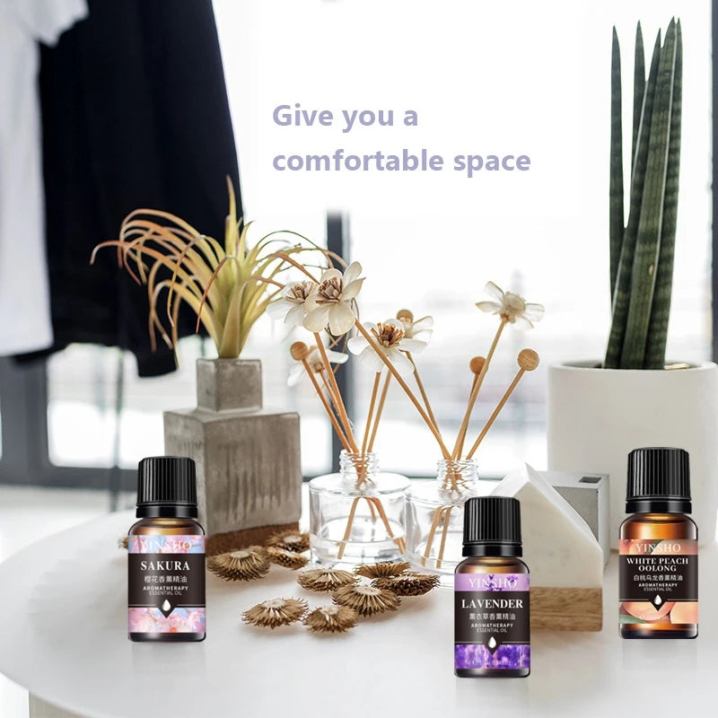 Huile essentielle d'aromathérapie à base de plantes