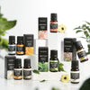 Huile essentielle d'aromathérapie à base de plantes