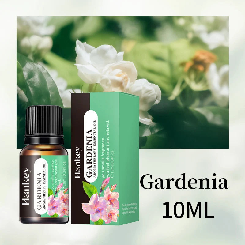 Huile essentielle d'aromathérapie à base de plantes