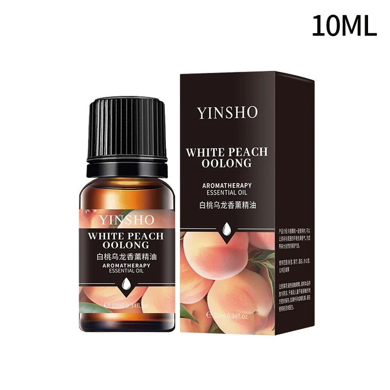 Huile essentielle d'aromathérapie à base de plantes