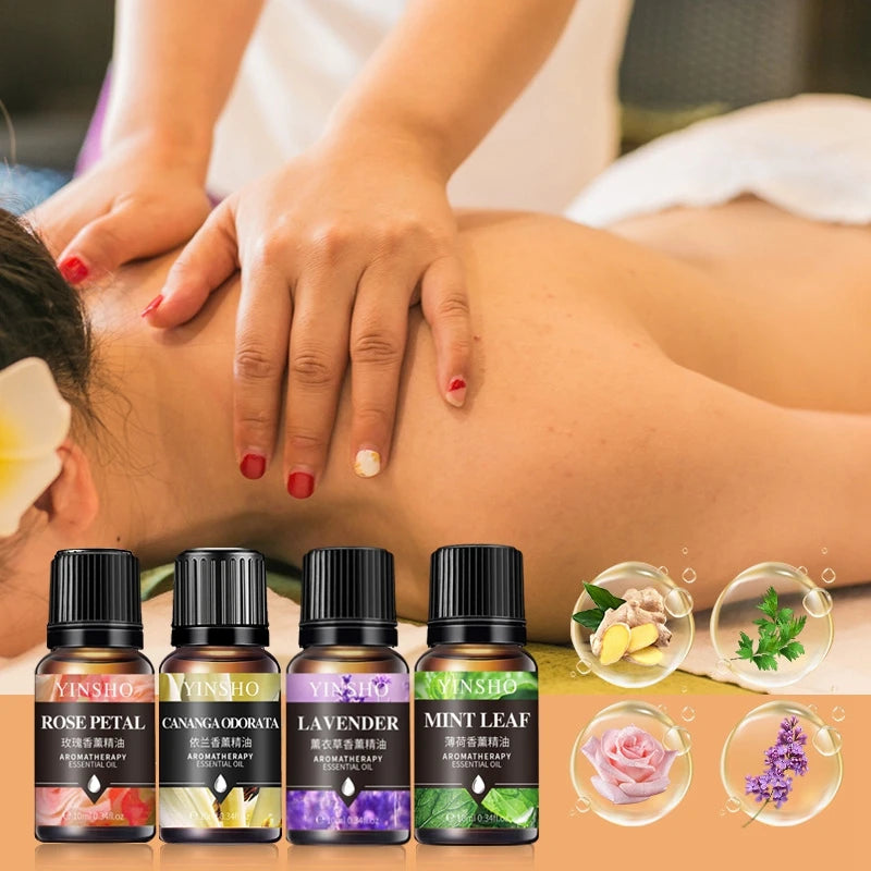 Huile essentielle d'aromathérapie à base de plantes