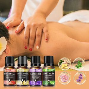 Huile essentielle d'aromathérapie à base de plantes