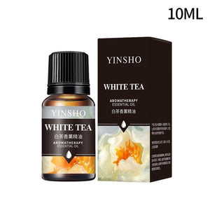 Huile essentielle d'aromathérapie à base de plantes