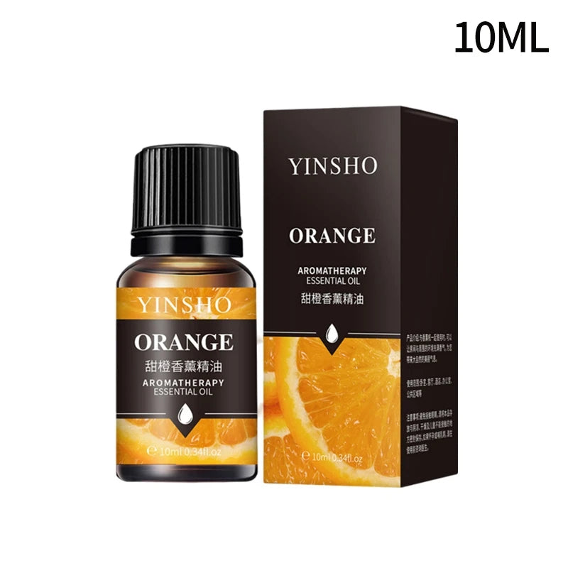 Huile essentielle d'aromathérapie à base de plantes