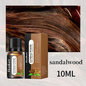 Huile essentielle d'aromathérapie à base de plantes
